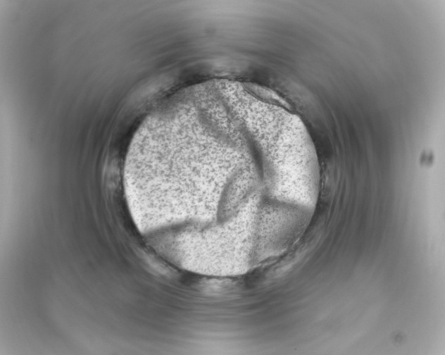 X0000090420137200708101951