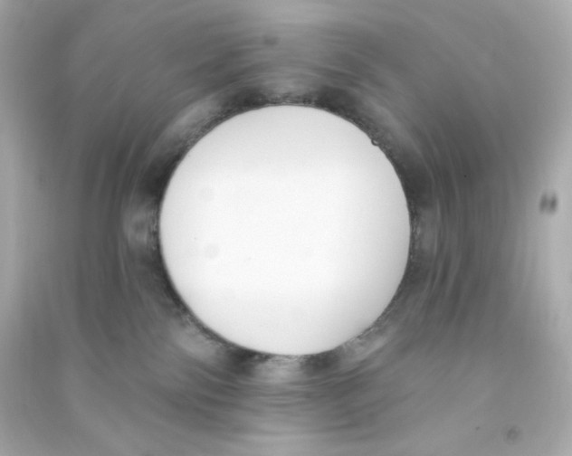 X0000090420138200708101951