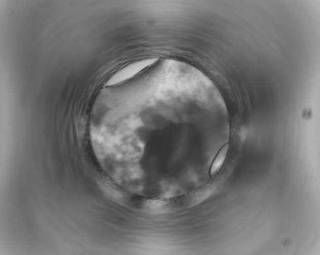 X0000090420139200708101951