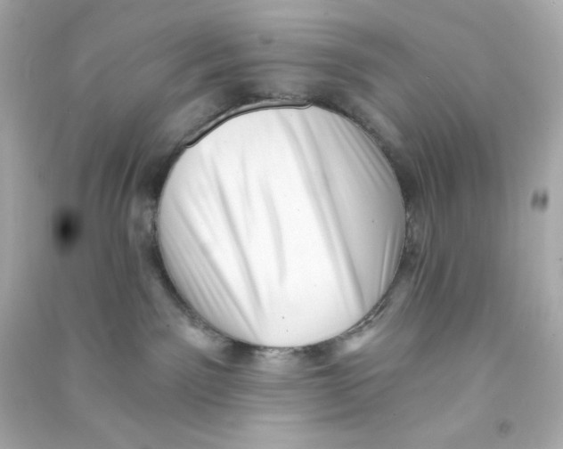 X0000090420141200708101951