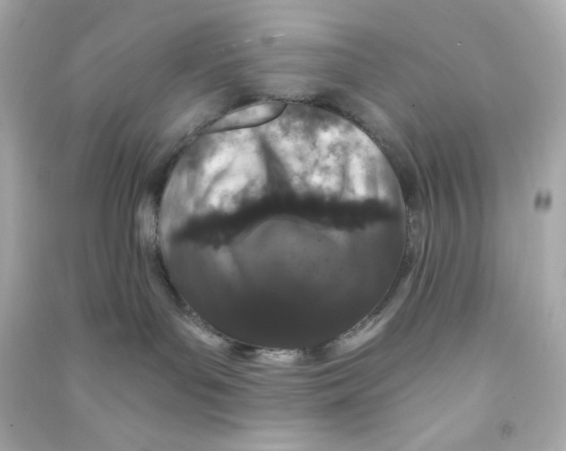 X0000090420143200708101951