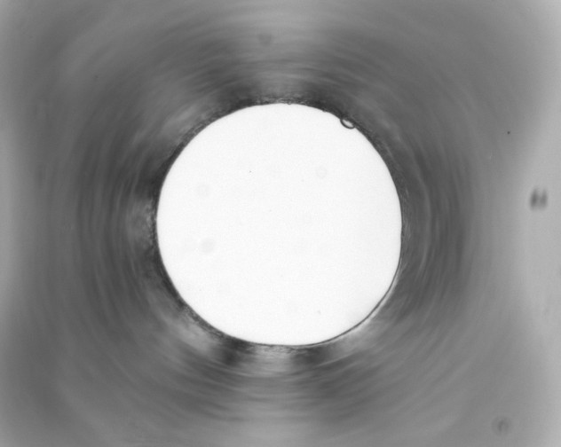 X0000090420144200708101951