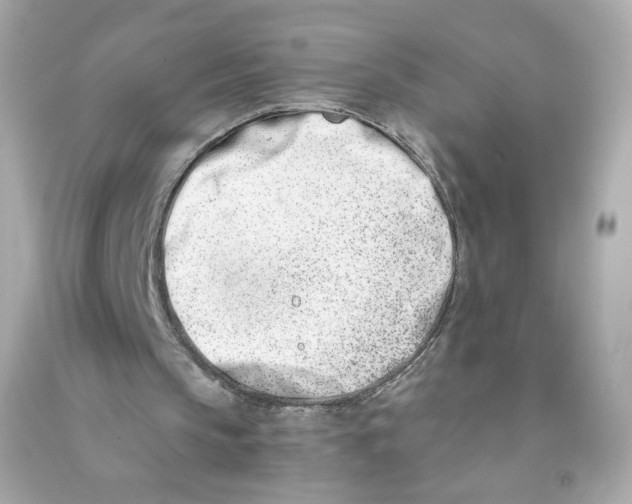X0000090420145200708101950