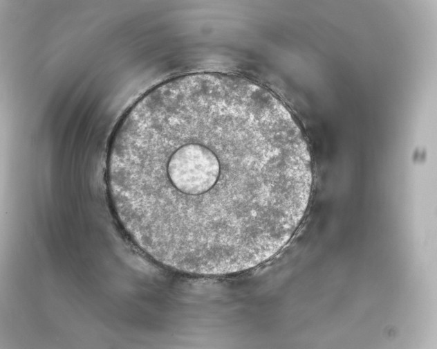 X0000090420146200708101950
