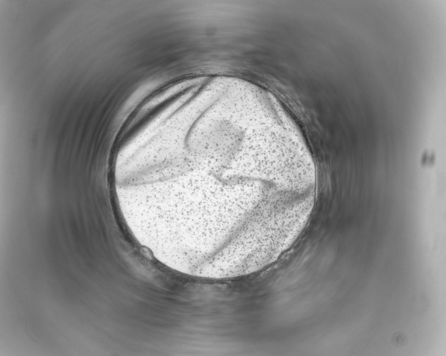 X0000090420147200708101950