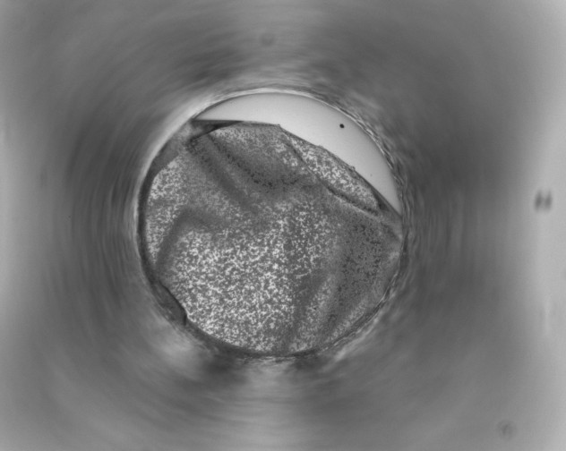 X0000090420148200708101950