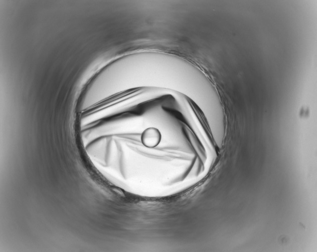 X0000090420150200708101950