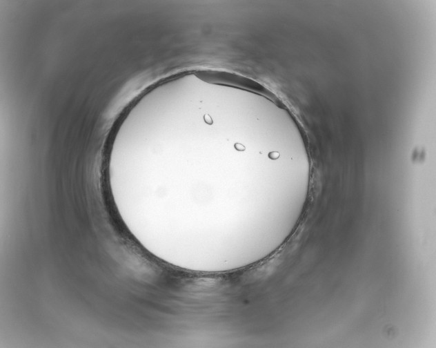 X0000090420151200708101950