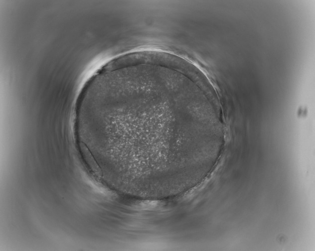 X0000090420152200708101950