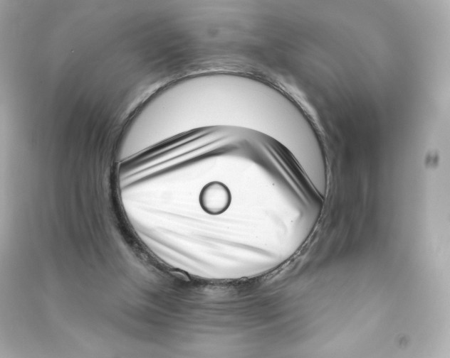X0000090420154200708101950