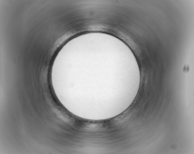 X0000090420155200708101951