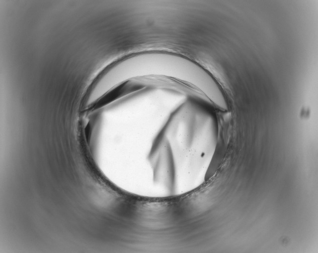 X0000090420156200708101951