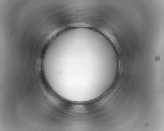 X0000090420157200708101951