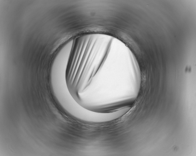 X0000090420158200708101951