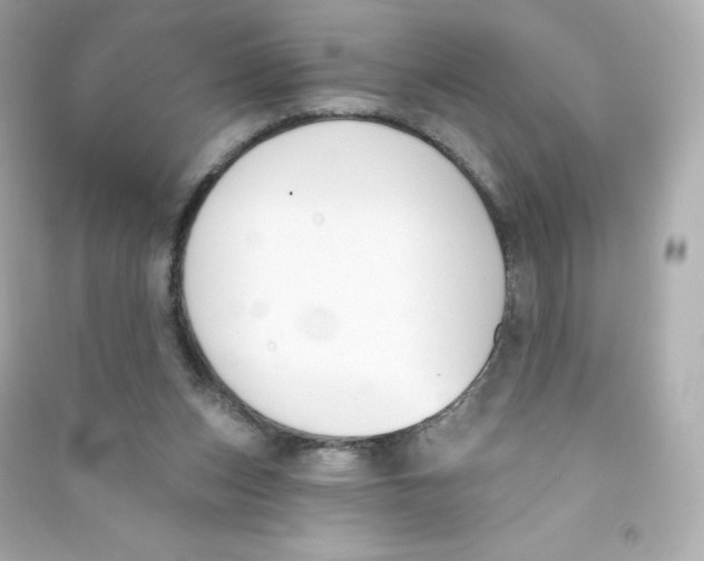 X0000090420159200708101951