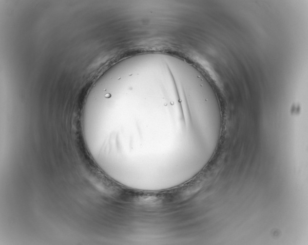 X0000090420161200708101951