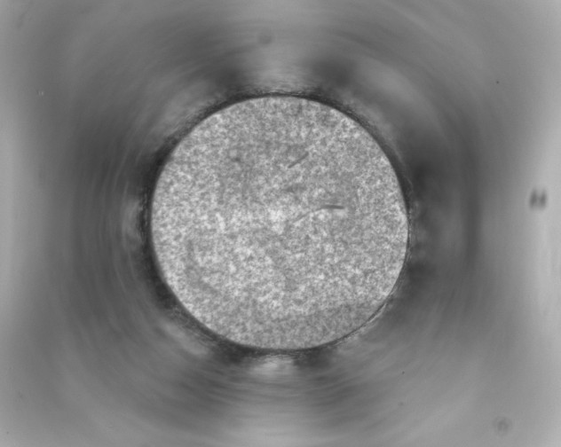 X0000090420162200708101951