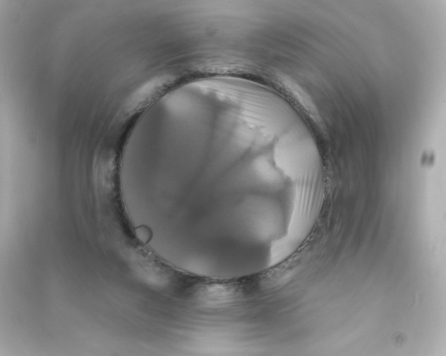 X0000090420163200708101951