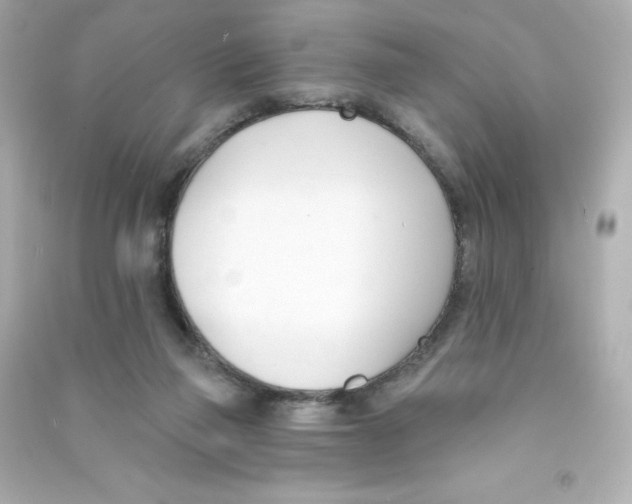 X0000090420165200708101951