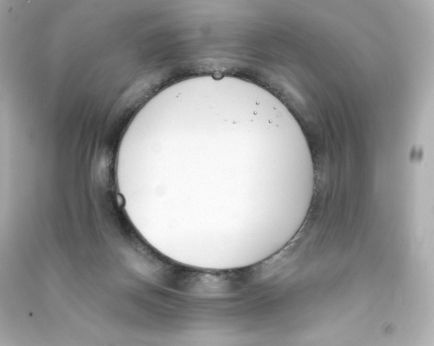 X0000090420166200708101951