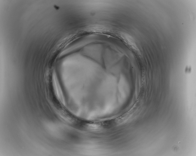 X0000090420167200708101951
