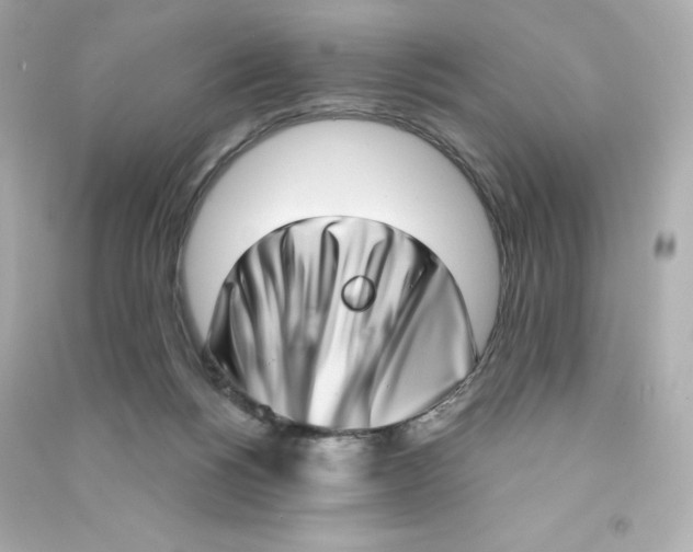 X0000090420168200708101951