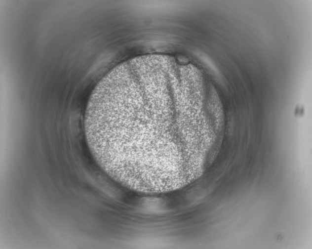 X0000090420169200708101951