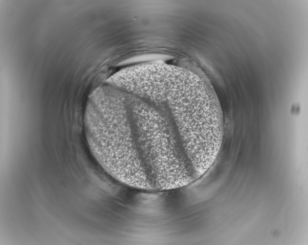 X0000090420170200708101951