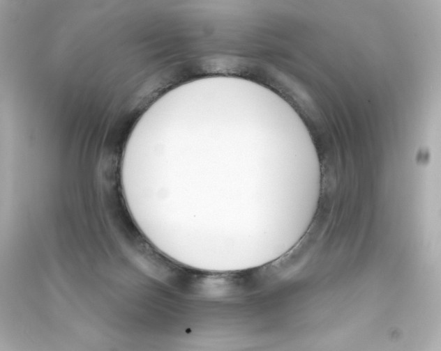 X0000090420171200708101951