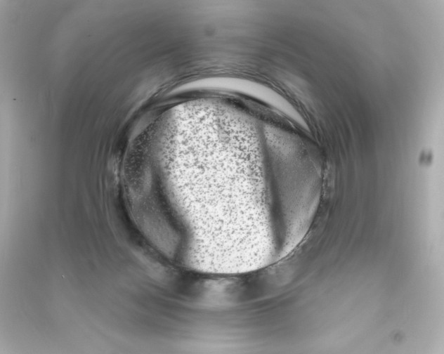 X0000090420172200708101951