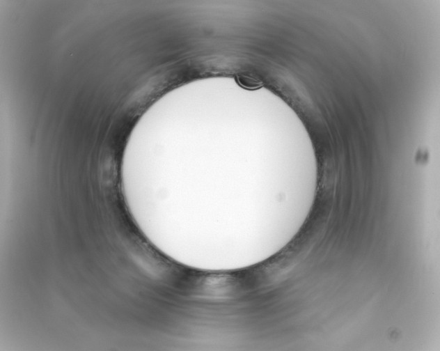 X0000090420173200708101951