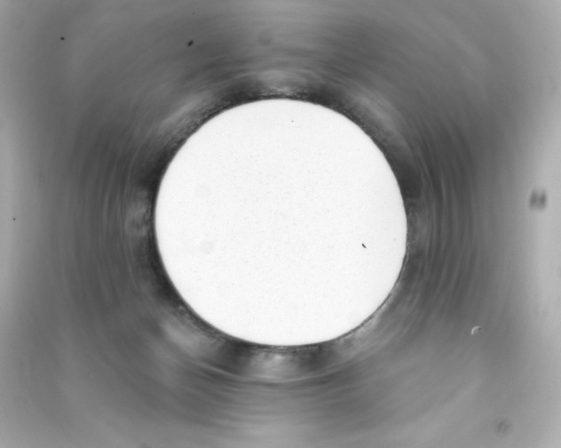 X0000090420174200708101951