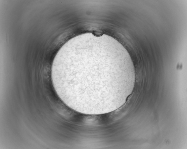 X0000090420175200708101951