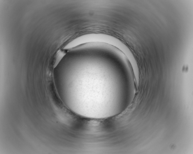 X0000090420176200708101951