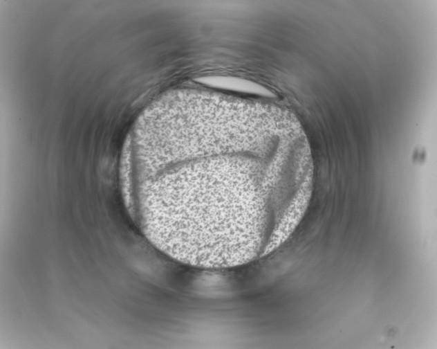 X0000090420177200708101951