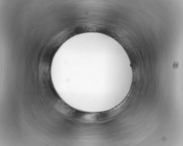 X0000090420178200708101951