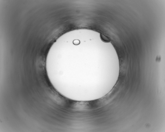 X0000090420179200708101951