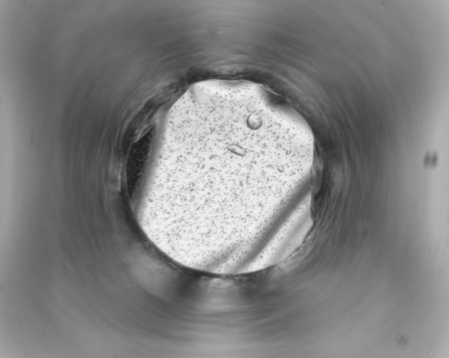 X0000090420180200708101951