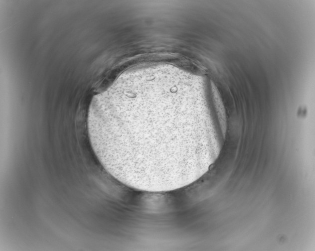 X0000090420181200708101951