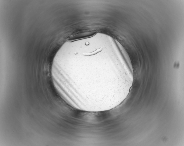 X0000090420182200708101951
