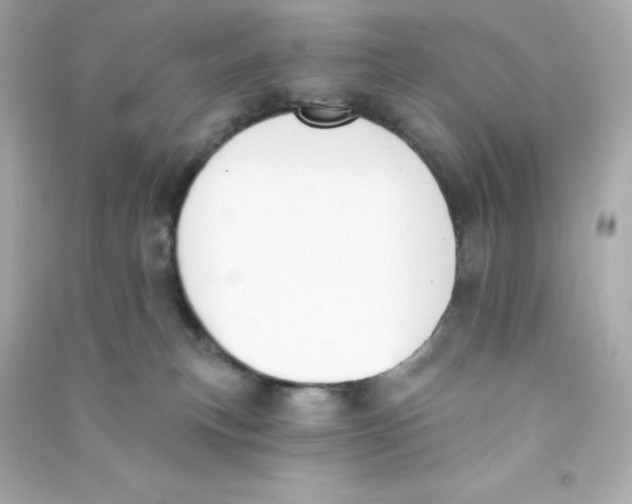 X0000090420183200708101951