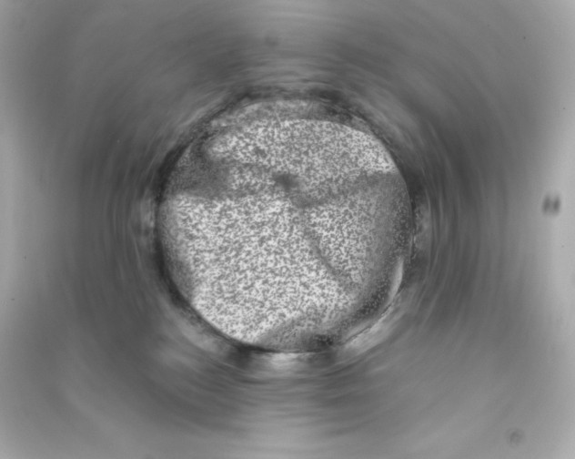 X0000090420184200708101951