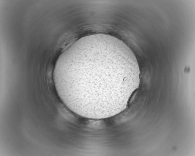 X0000090420185200708101951