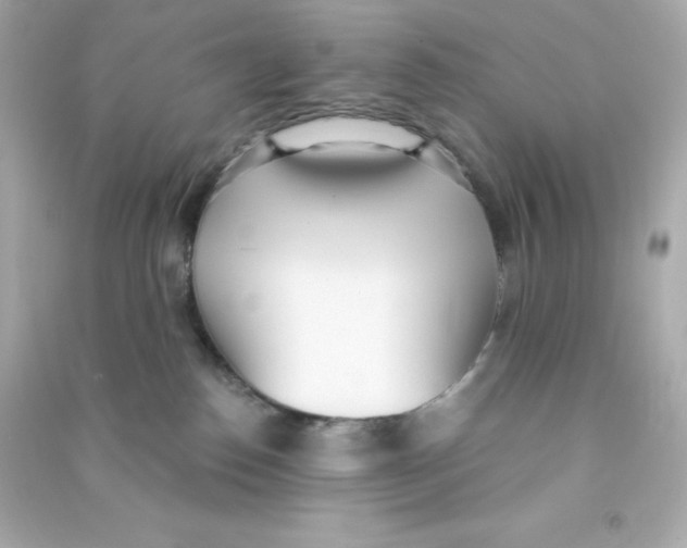 X0000090420186200708101951