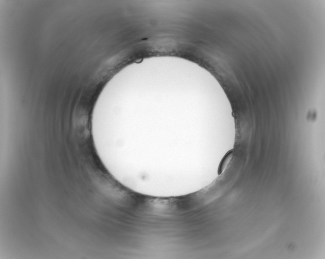 X0000090420187200708101951
