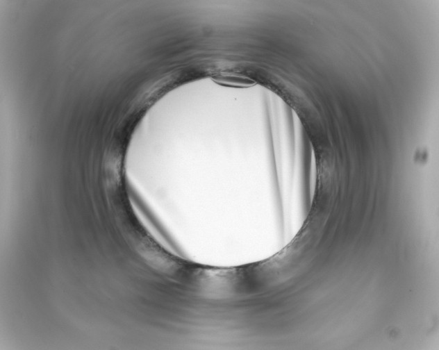 X0000090420188200708101951