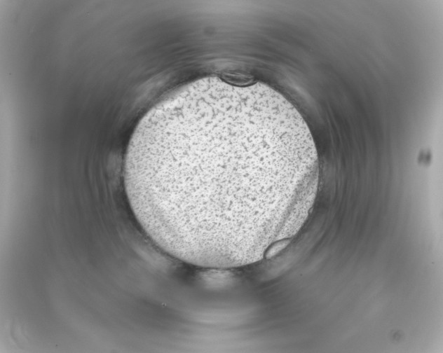 X0000090420189200708101951