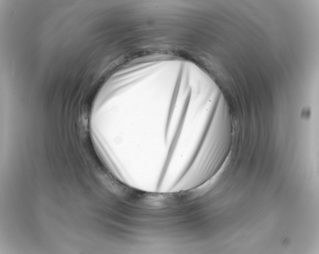 X0000090420190200708101951