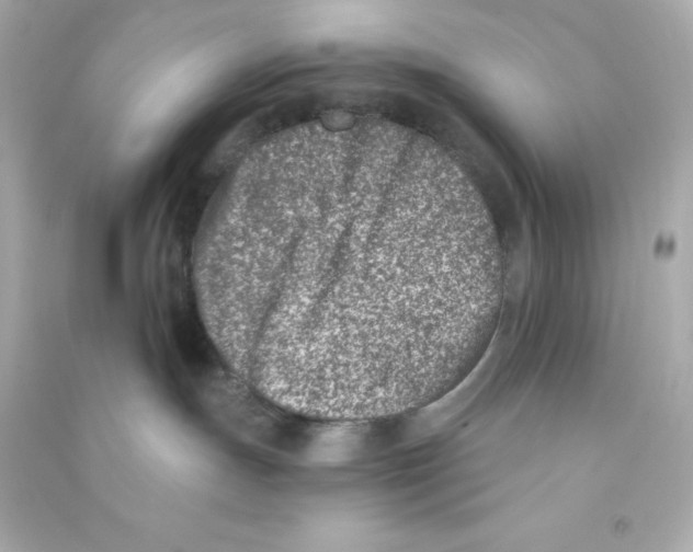 X0000090420191200708101951