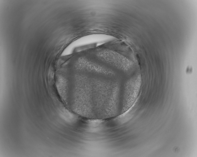 X0000090420192200708101951